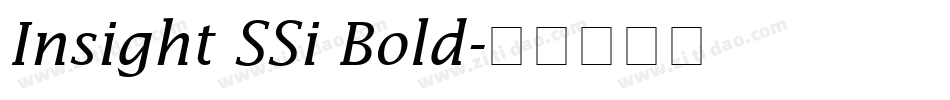 Insight SSi Bold字体转换